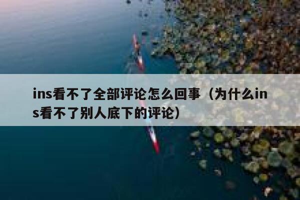 ins看不了全部评论怎么回事（为什么ins看不了别人底下的评论） 第1张