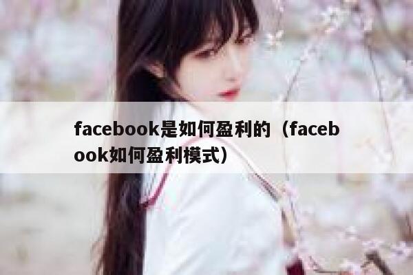 facebook是如何盈利的（facebook如何盈利模式） 第1张