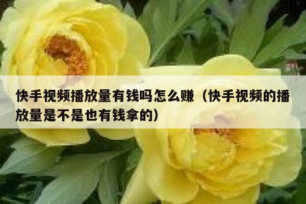 快手视频播放量有钱吗怎么赚（快手视频的播放量是不是也有钱拿的） 第1张