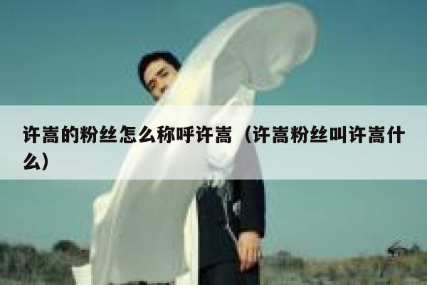 许嵩的粉丝怎么称呼许嵩（许嵩粉丝叫许嵩什么） 第1张