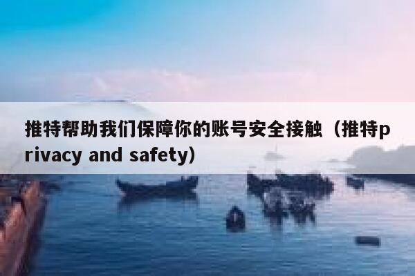 推特帮助我们保障你的账号安全接触（推特privacy and safety） 第1张