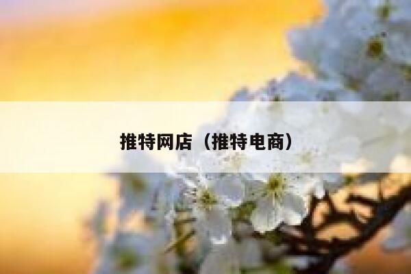 推特网店（推特电商） 第1张