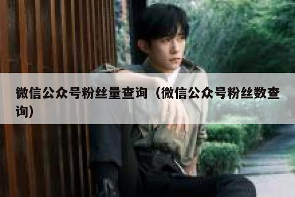 微信公众号粉丝量查询（微信公众号粉丝数查询） 第1张