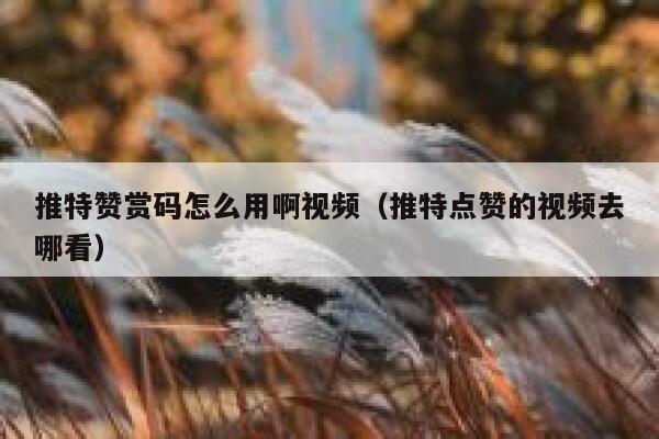 推特赞赏码怎么用啊视频（推特点赞的视频去哪看） 第1张