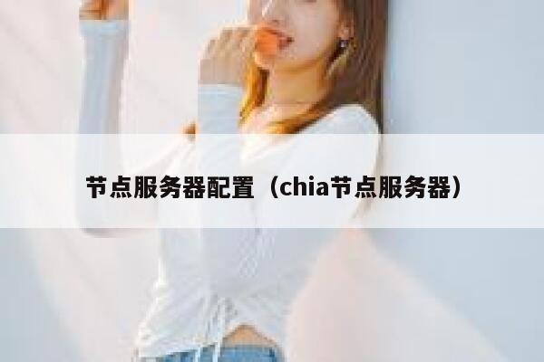 节点服务器配置（chia节点服务器） 第1张