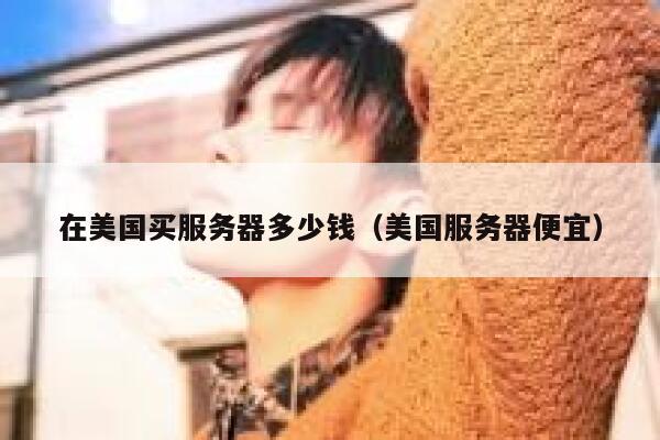 在美国买服务器多少钱（美国服务器便宜） 第1张