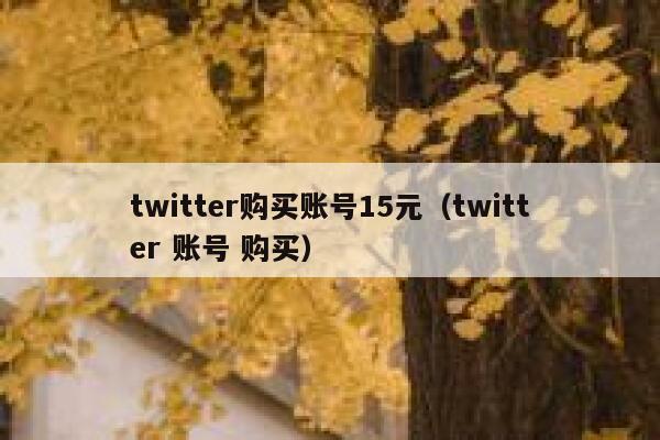twitter购买账号15元（twitter 账号 购买） 第1张