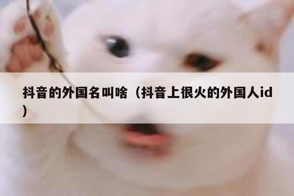 抖音的外国名叫啥（抖音上很火的外国人id） 第1张