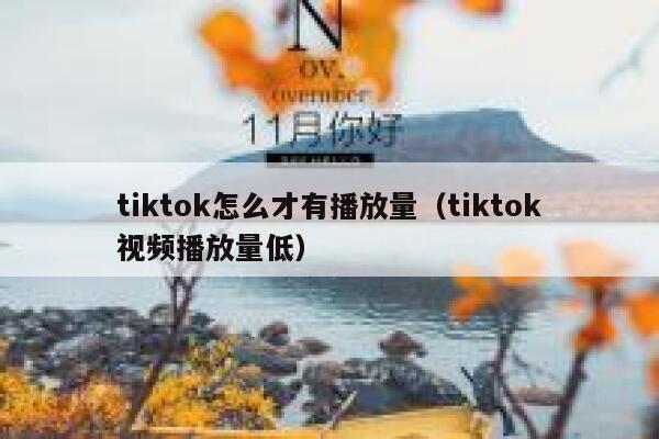 tiktok怎么才有播放量（tiktok视频播放量低） 第1张