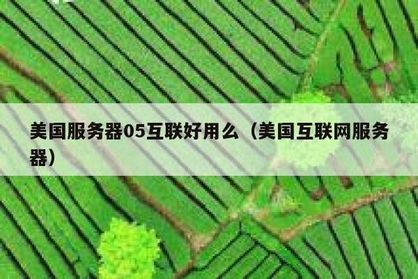美国服务器05互联好用么（美国互联网服务器） 第1张