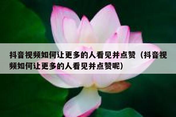 抖音视频如何让更多的人看见并点赞（抖音视频如何让更多的人看见并点赞呢） 第1张