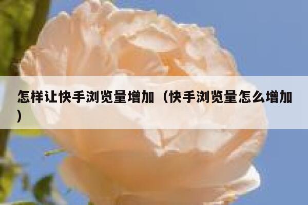 怎样让快手浏览量增加（快手浏览量怎么增加） 第1张