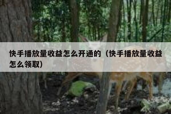 快手播放量收益怎么开通的（快手播放量收益怎么领取） 第1张