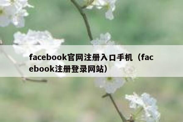 facebook官网注册入口手机（facebook注册登录网站） 第1张