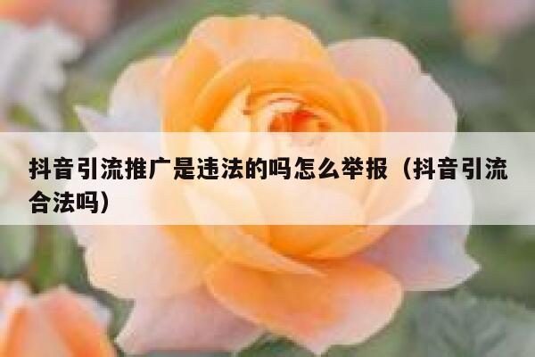 抖音引流推广是违法的吗怎么举报（抖音引流合法吗） 第1张