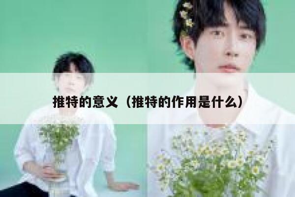 推特的意义（推特的作用是什么） 第1张