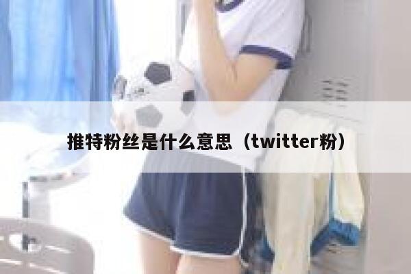 推特粉丝是什么意思（twitter粉） 第1张