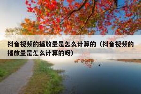 抖音视频的播放量是怎么计算的（抖音视频的播放量是怎么计算的呀） 第1张