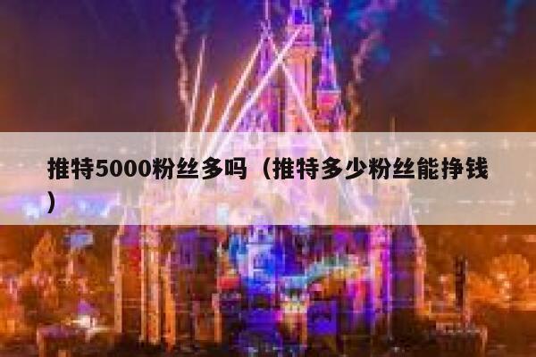 推特5000粉丝多吗（推特多少粉丝能挣钱） 第1张