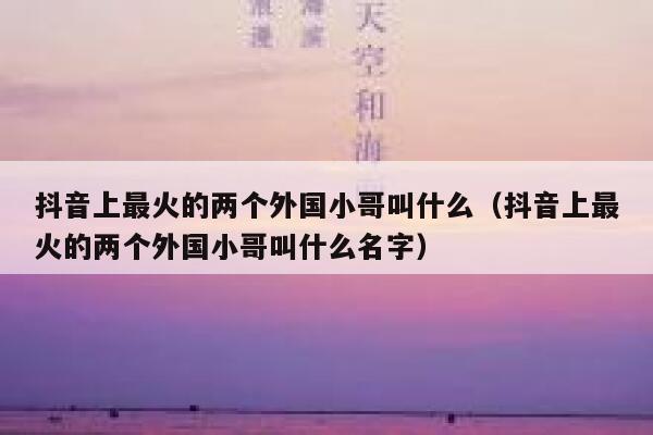 抖音上最火的两个外国小哥叫什么（抖音上最火的两个外国小哥叫什么名字） 第1张