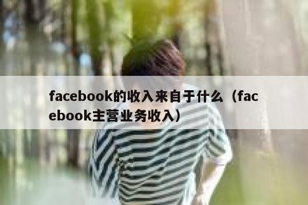 facebook的收入来自于什么（facebook主营业务收入） 第1张