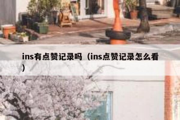 ins有点赞记录吗（ins点赞记录怎么看） 第1张