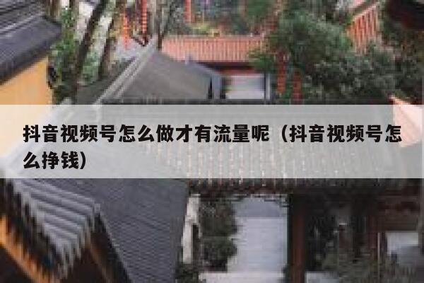 抖音视频号怎么做才有流量呢（抖音视频号怎么挣钱） 第1张