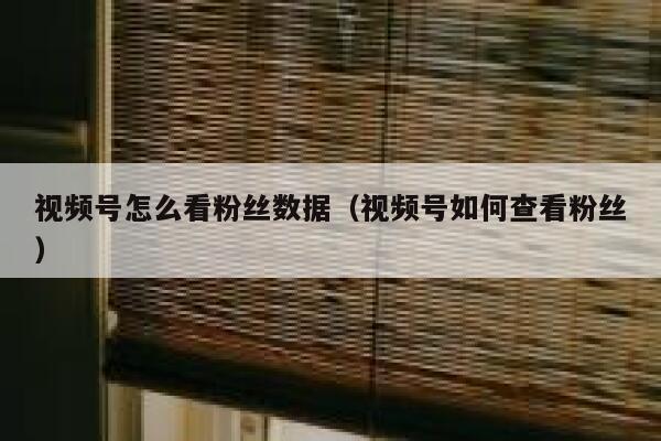 视频号怎么看粉丝数据（视频号如何查看粉丝） 第1张