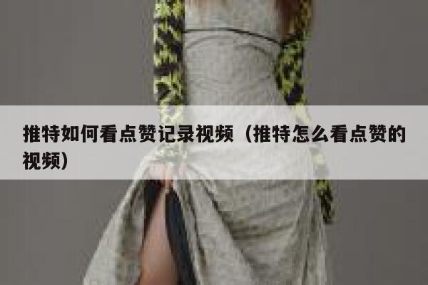 推特如何看点赞记录视频（推特怎么看点赞的视频） 第1张