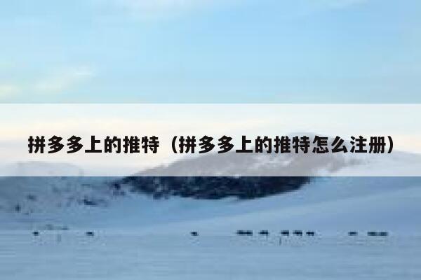 拼多多上的推特（拼多多上的推特怎么注册） 第1张