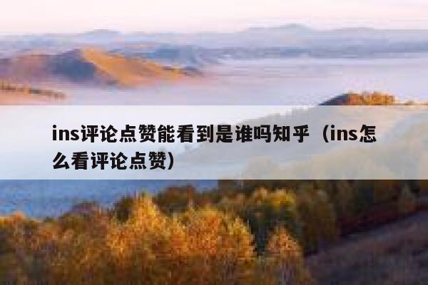 ins评论点赞能看到是谁吗知乎（ins怎么看评论点赞） 第1张