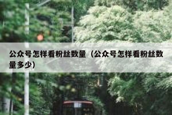 公众号怎样看粉丝数量（公众号怎样看粉丝数量多少） 第1张