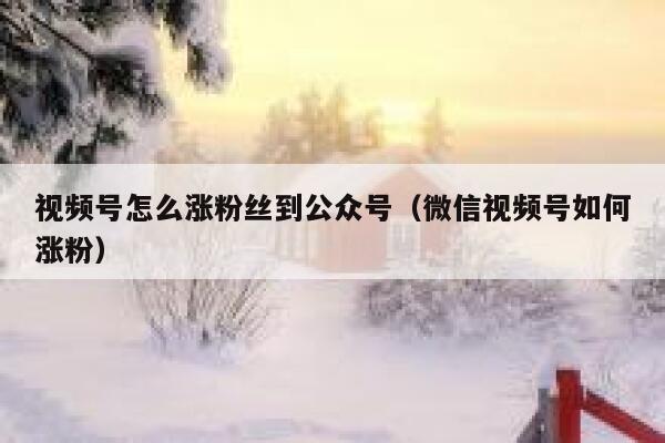 视频号怎么涨粉丝到公众号（微信视频号如何涨粉） 第1张