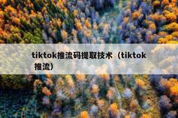 tiktok推流码提取技术（tiktok 推流） 第1张