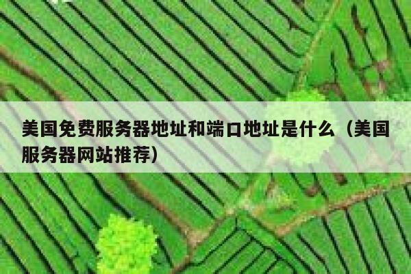 美国免费服务器地址和端口地址是什么（美国服务器网站推荐） 第1张