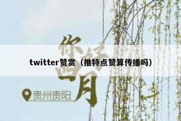 twitter赞赏（推特点赞算传播吗） 第1张