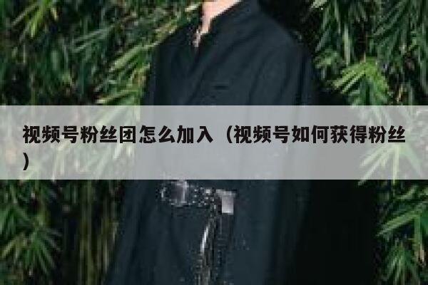 视频号粉丝团怎么加入（视频号如何获得粉丝） 第1张