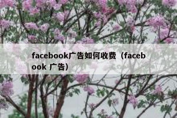 facebook广告如何收费（facebook 广告） 第1张