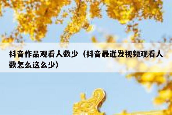抖音作品观看人数少（抖音最近发视频观看人数怎么这么少） 第1张