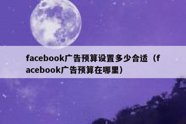 facebook广告预算设置多少合适（facebook广告预算在哪里） 第1张