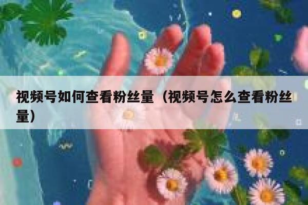 视频号如何查看粉丝量（视频号怎么查看粉丝量） 第1张