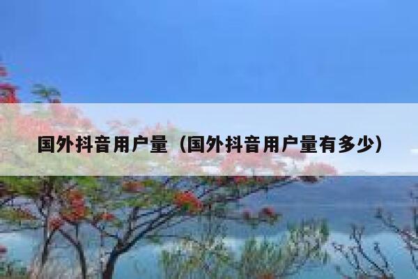 国外抖音用户量（国外抖音用户量有多少） 第1张