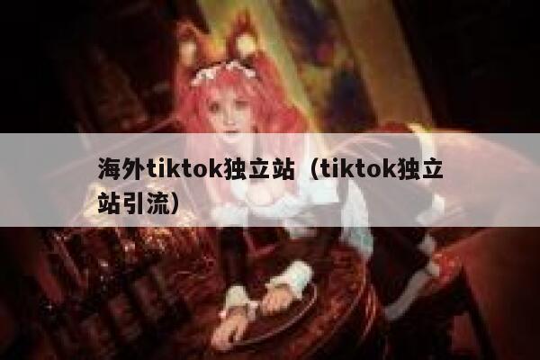 海外tiktok独立站（tiktok独立站引流） 第1张