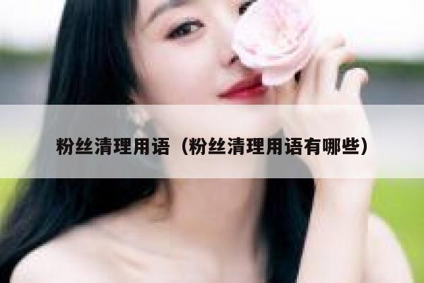 粉丝清理用语（粉丝清理用语有哪些） 第1张