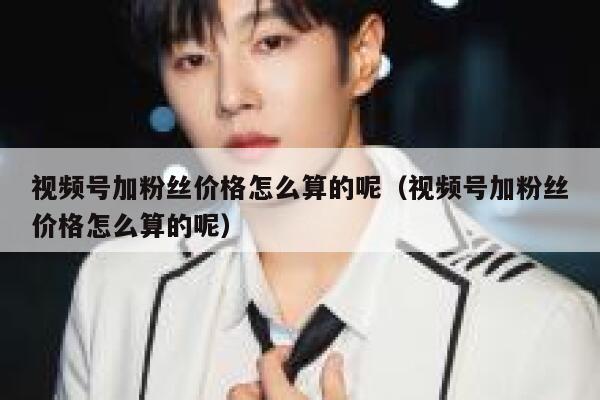 视频号加粉丝价格怎么算的呢（视频号加粉丝价格怎么算的呢） 第1张