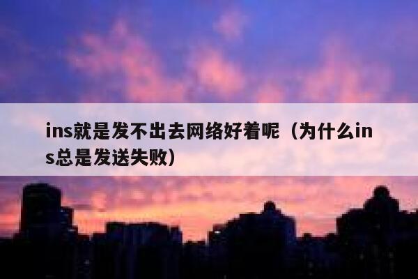ins就是发不出去网络好着呢（为什么ins总是发送失败） 第1张