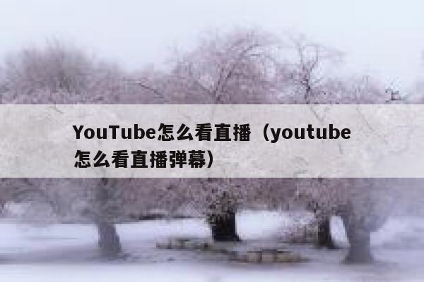 YouTube怎么看直播（youtube怎么看直播弹幕） 第1张