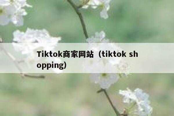 Tiktok商家网站（tiktok shopping） 第1张