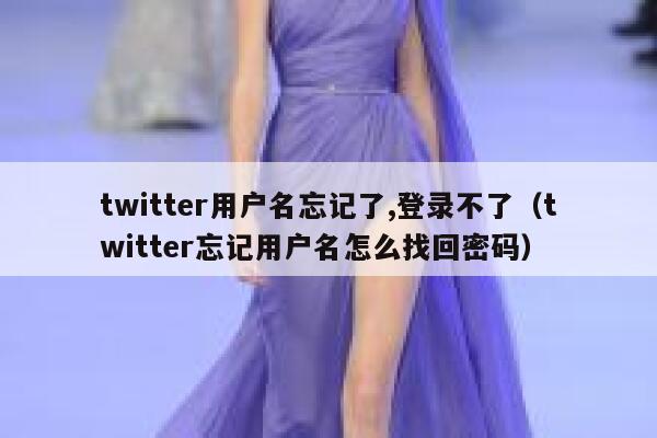 twitter用户名忘记了,登录不了（twitter忘记用户名怎么找回密码） 第1张