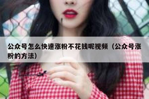 公众号怎么快速涨粉不花钱呢视频（公众号涨粉的方法） 第1张